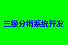 三級(jí)分銷(xiāo)系統(tǒng)開(kāi)發(fā)